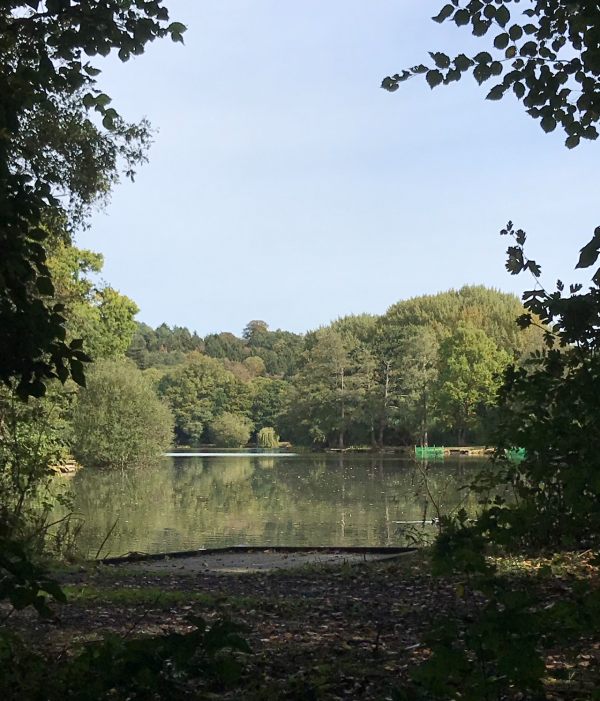 Over the Hills and Far Away: Old Bury Hill fishing lake.