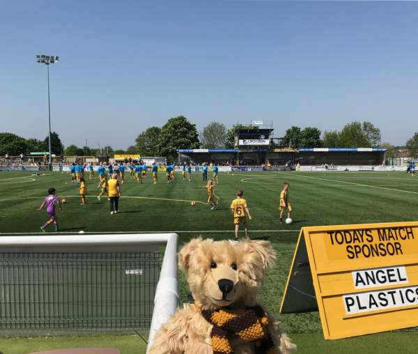 Plastic grass. AstroTurf, Sutton United.