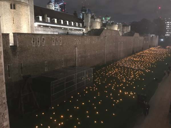 Tower of London Coast grass.