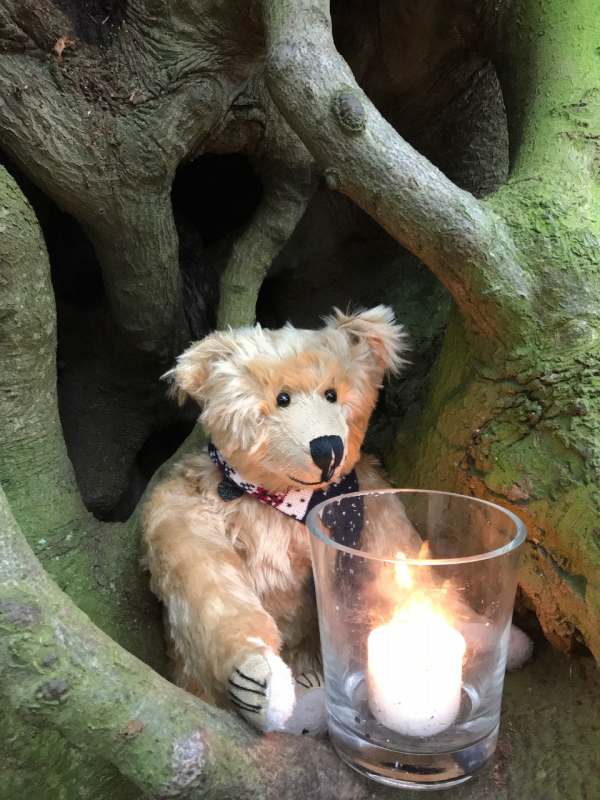 Lighting a Candle for Diddley: The Witches Broom tree