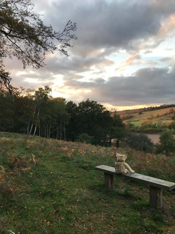Tick tock. Watch the sun go down in your favourite place. Diddley's View, Abinger Roughs.