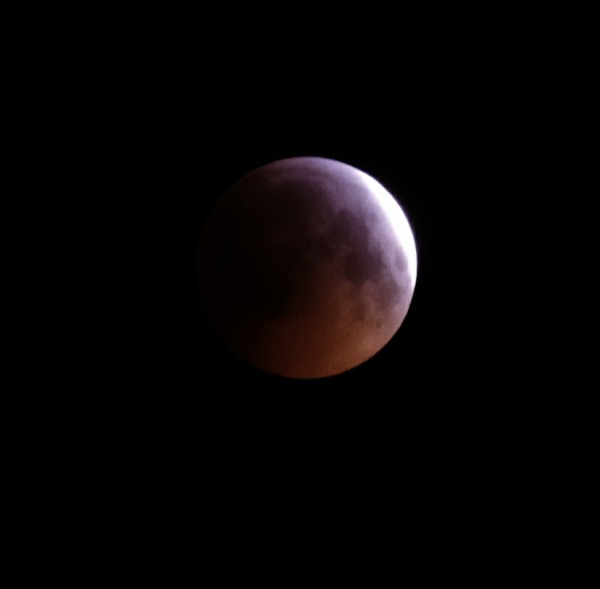 Super Blood Wolf Moon: