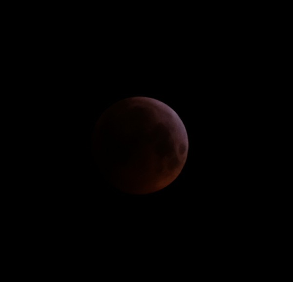 Super Blood Wolf Moon: