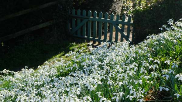 Cotswold Reverie: Down to the garden gate at Slad.