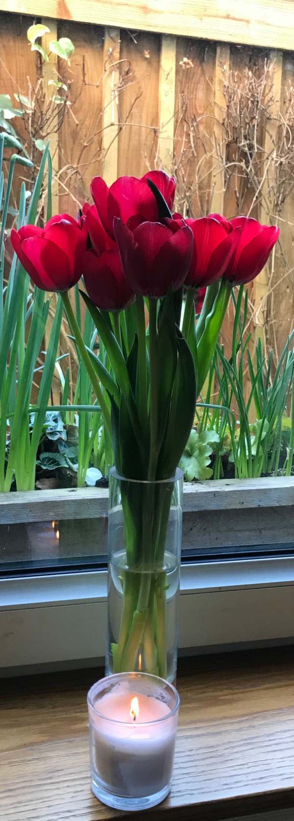 Lighting a Candle for Diddley in Laural Cottage with the tulips.
