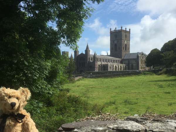 Walk from St David's: Church and churchyard.