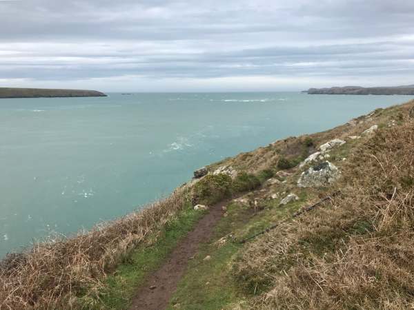 Walk from St David's: Ramsay Sound. Island left.