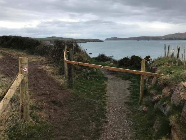 Walk from St David's: Footpath diversion to avoid cliff erosion.