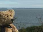 Walk from St David's: From the chapel, looking across to Skomer Island.