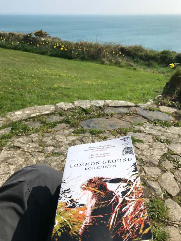 Walk from St David's: Nice place to read a book.