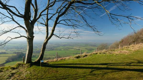 Cotswold Reverie: Coaley Peak.