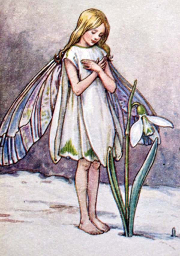 Cotswold Reverie: The Snowdrop Fairy.