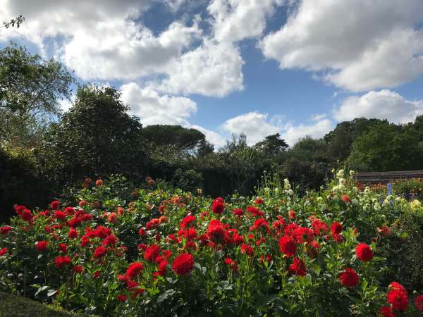 Tick tock. Go to a beautiful garden and watch the world go by. Dunsborough Park, Ripley.