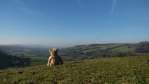 Tick tock. Look west. Swift's Hill, Gloucestershire, looking towards Wales.