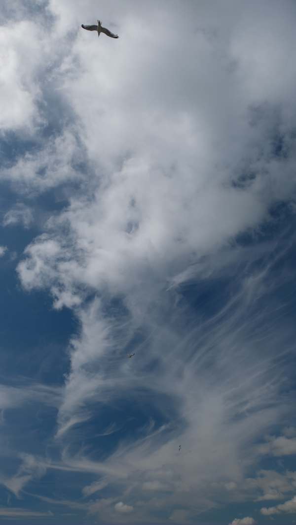 Tick tock. Watch clouds. Look for pictures. Cloud Appreciation Society.