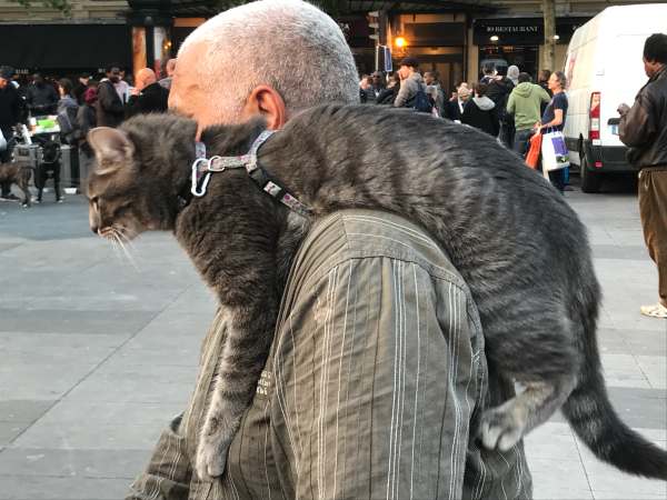 April in Paris. Picture of man walking the street with a cat on his left shoulder!