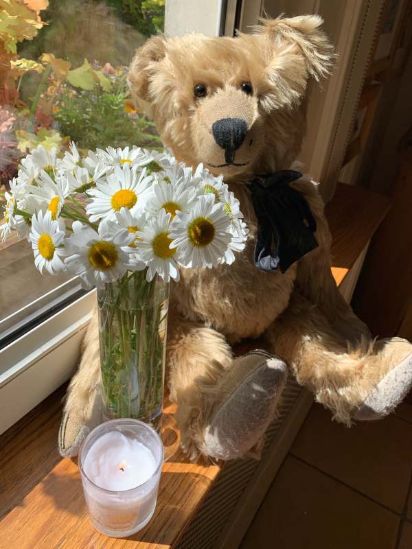 Bertie, a vase of Moon Daisies and a lit candle for Diddley.