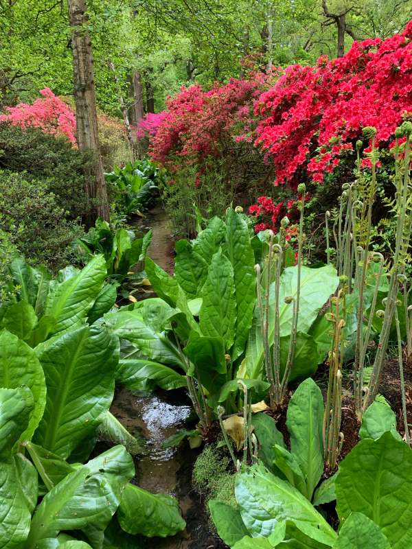 Stream in the gardens.