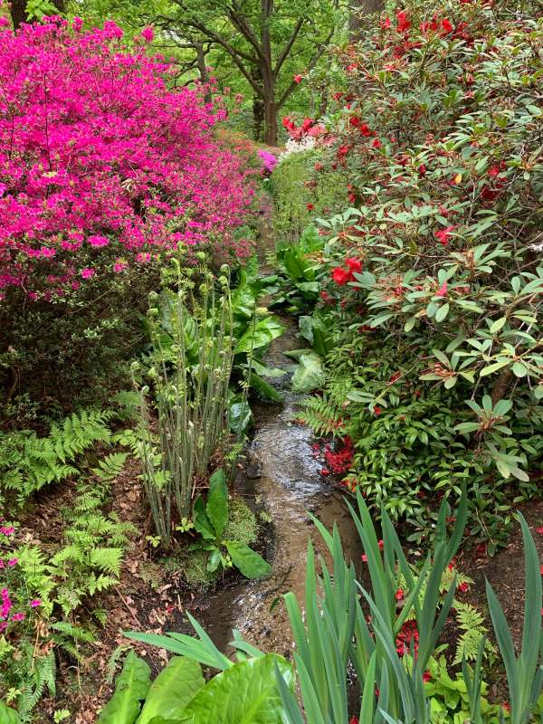 Stream in the gardens.