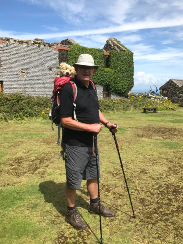 Bobby photographed on Skomer Island. Bertie is in his rucksack on his back, peering over Bobby's shoulder.