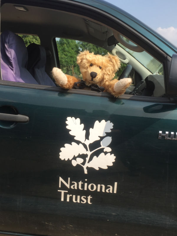 Bertie inside the 4x4 looking out the driver's window!