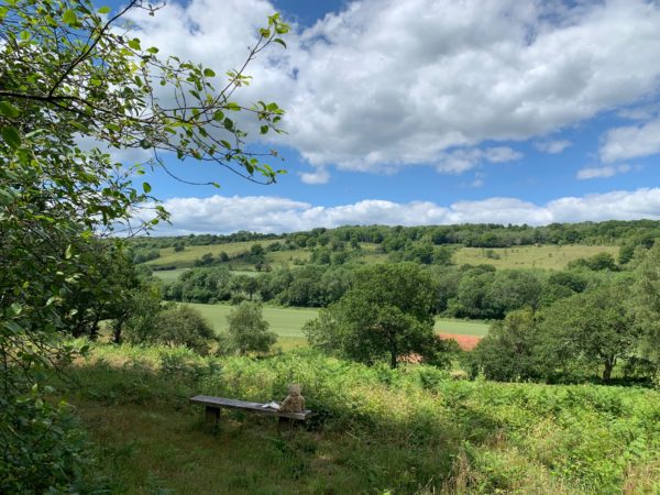 Abinger Roughs. Diddley's View. Bertie is sat on the Diddley's Bench enjoying the view.