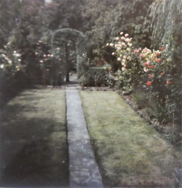 Colour shot of the garden. Laid mainly to lawn, a path runs down the middle. High flowers, as a hedge, run down both sides. A low hedge, trimmed into a archway over the path, goes across the far end.