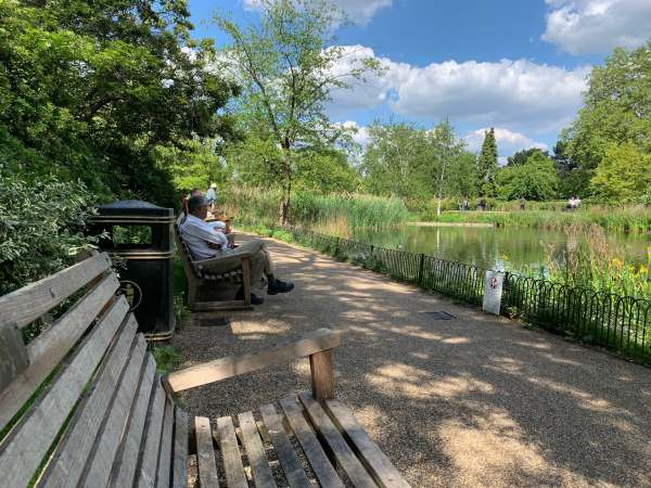 Sitting on a Bench: Queen Mary’s Garden. Regents Park, London.