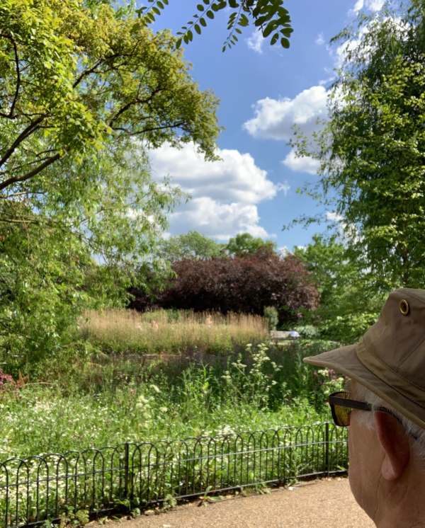 Sitting on a Bench: Looking for serenity.