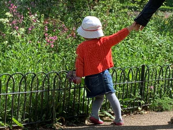 Picture of a young child holding an adult's hand, but pulling away to look at the wild flowers.