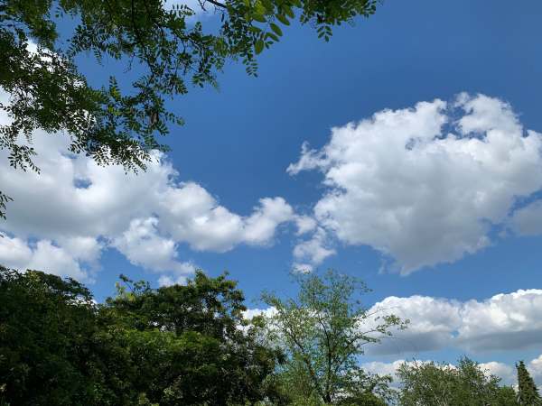 Large white clouds in a deep blue sky.