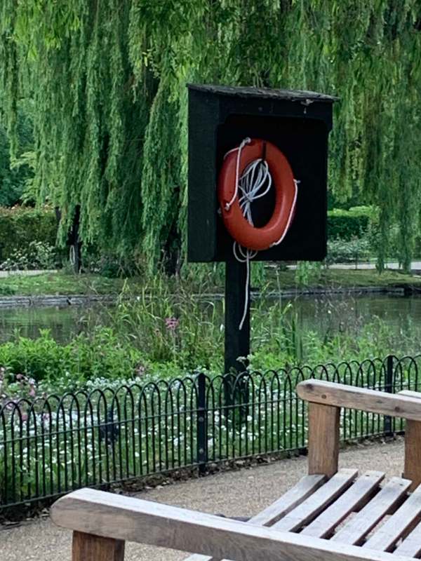 Photograph of a lifering in a wooden mount adjacent to the lake, with a weeping willow overhanging.