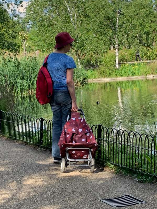 Lady looking over the lake with a shoulder bag and an apparently empty shopping trolley.