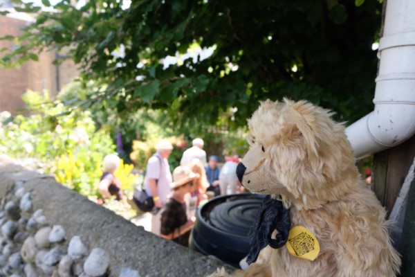 Bertie looking over a wall into an adjacent garden, watching the people looking round it.