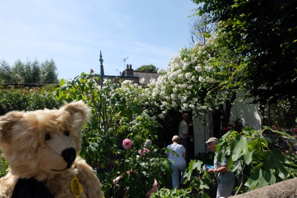 Bertie, with people looking around a garden behind.