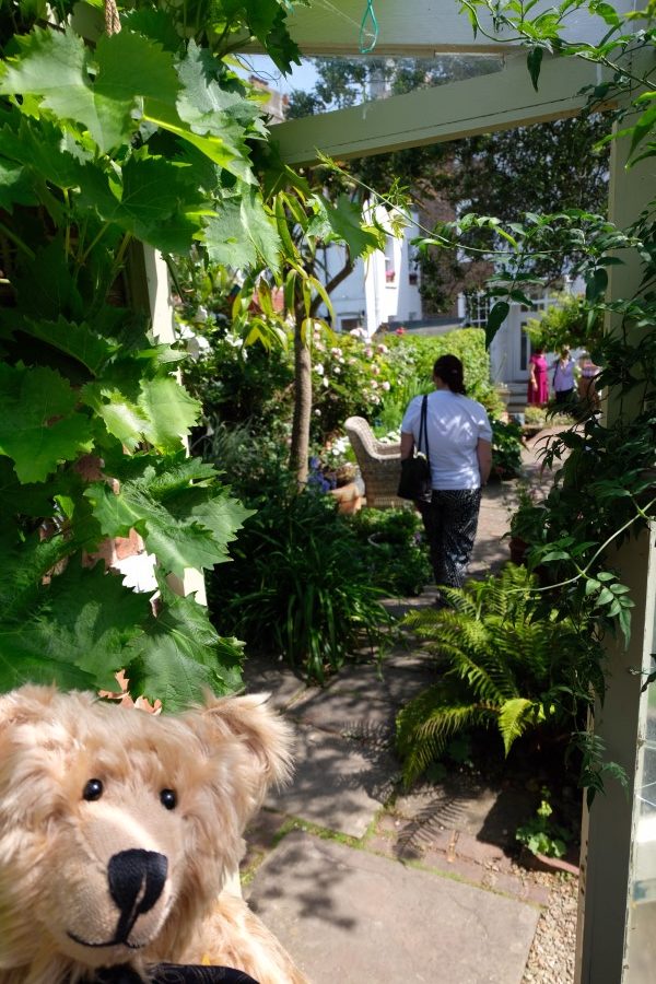 Bertie in a garden of exotic plants.