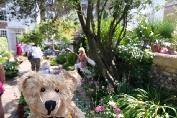 Bertie in the final garden having found Merrill.