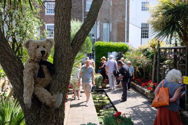 Bertie sat in the "Y" of a tree's branches in one of the gardens.