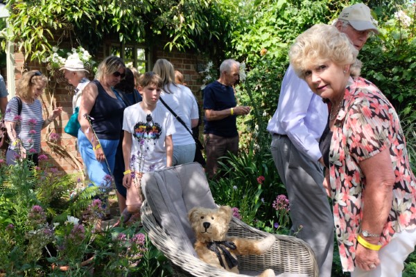 Bertie lounging in a garden chair, with Merrill looking on.