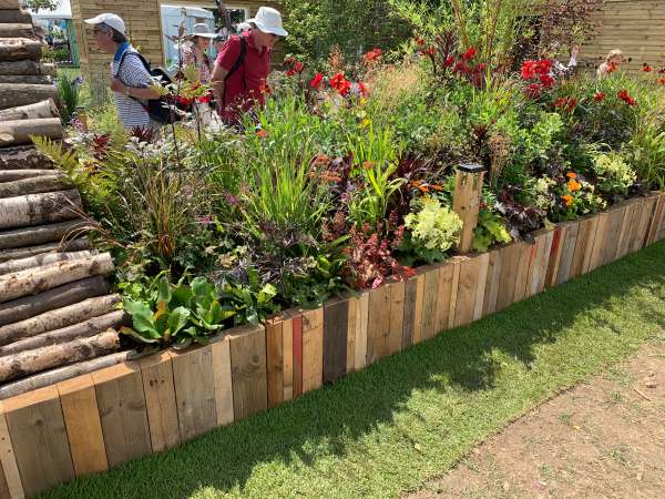 Many plants grown by the schoolchildren.