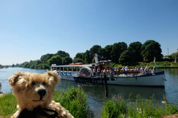 Bertie in fron of the Yarmouth Belle, which is cruising on the Thames.