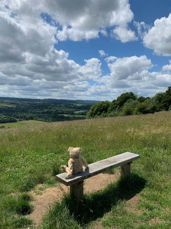 Bertie sitting on a bench look south west over the Surrey Hills. The bench in inscribed "Pilgrims come wind come weather".