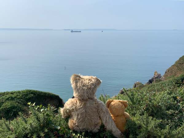 Bertie and Eamonn looking over the sea to Skomer Island.