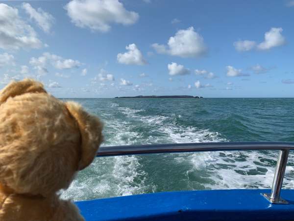 Eamonn at the back of the ferry watching Skokholm fading into the distance.