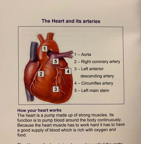 Poster describing the layout of the heart.