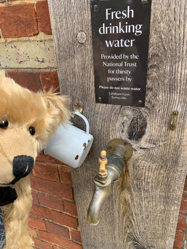 Bertie looking at a tap. The sign above reads "Water provided for thirsty passers-by".