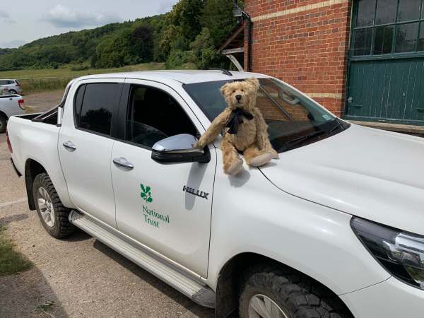 Bertie sat on the bonnet of Amanda's white Hilux.