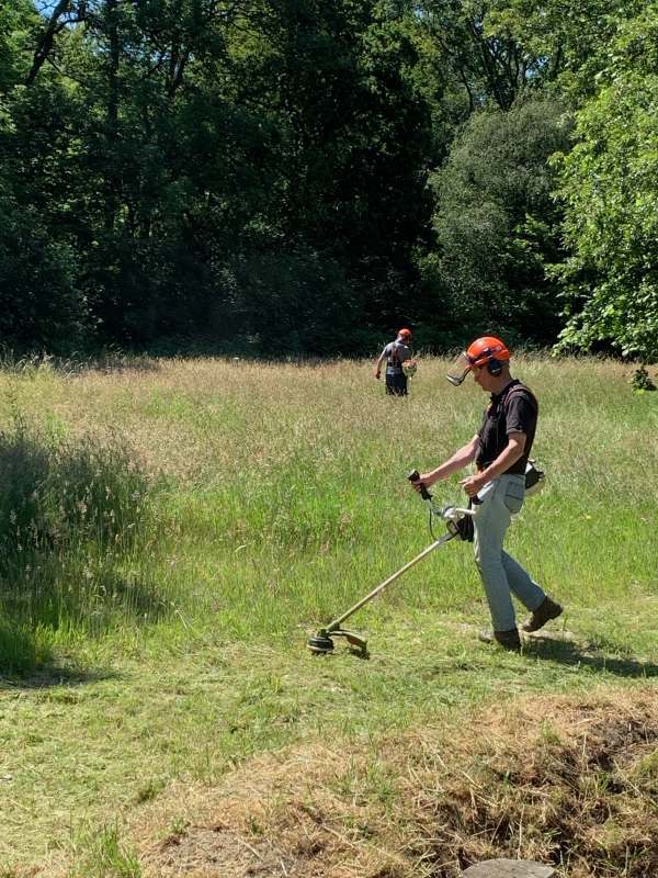 Mark and Roger strimming in the long grass.