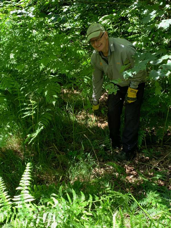 Maurice lurking in a shady nook.