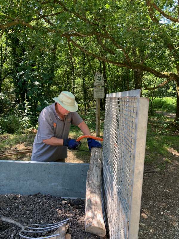 Ollie of all trades sawing a rustic fence post.